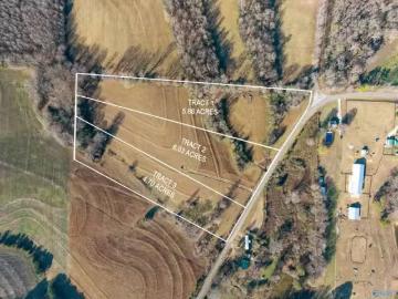 7525 UPPER SNAKE RD, ATHENS, AL 35614