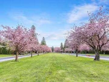 Greater Vancouver - Patio, Garden, Parking