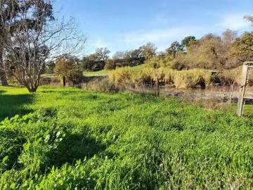 7571 PEBBLE BEACH DR, CORNING, CA 96021