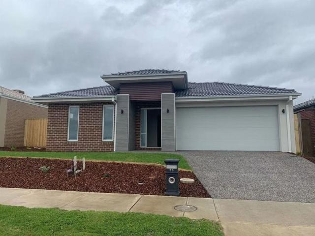 75 Thoroughbred Drive, Clyde North