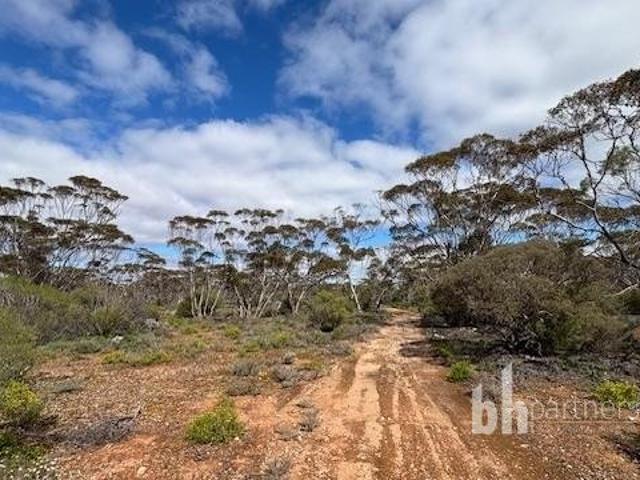75 Acre Scrub Block, Great Picturesque Weekender!