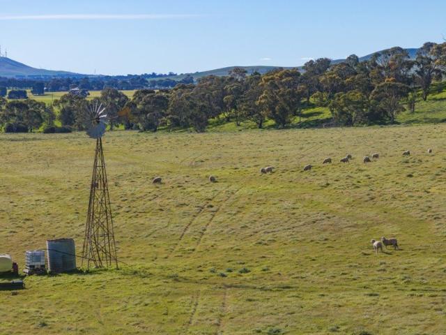 75 Acres of Quality Grazing Country