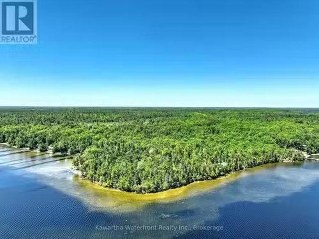 75 Beaver Drive, Kawartha Lakes Somerville, ON, K0M 1K0 va.