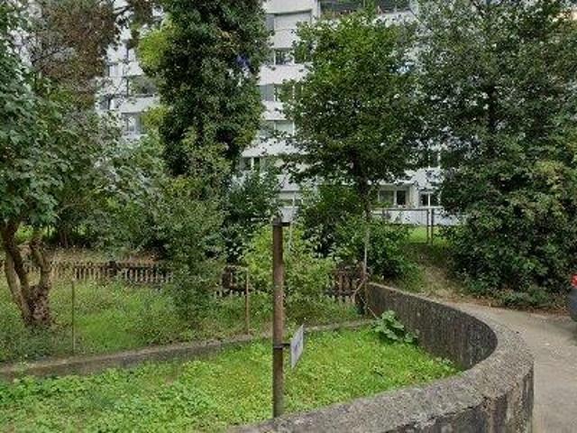75 m2 apartment for rent in Bern Mittelland