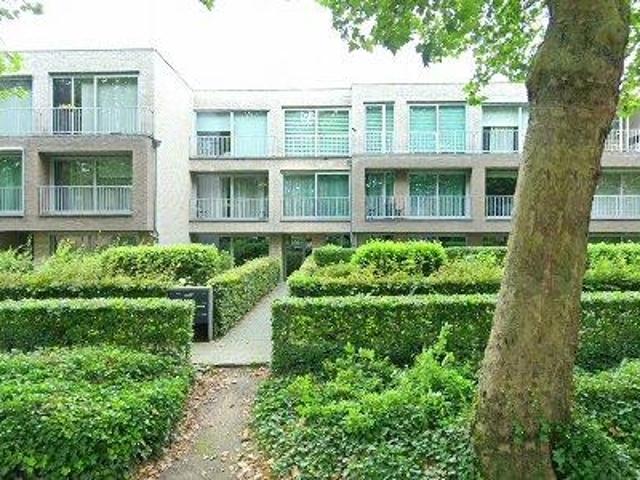75 m2 apartment for rent in Brasschaat