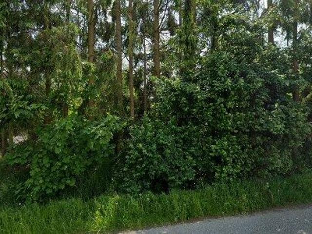 75 m2 apartment for rent in Hofkirchen im Traunkreis