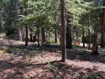 760 ALTA RESERVOIR RD, ALTA, CA 95701