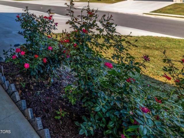 7622 Bailey Landing Lane