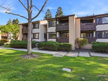 Stanford, San Jose CCD Santa Clara County California, Santa Clara County, California, USA