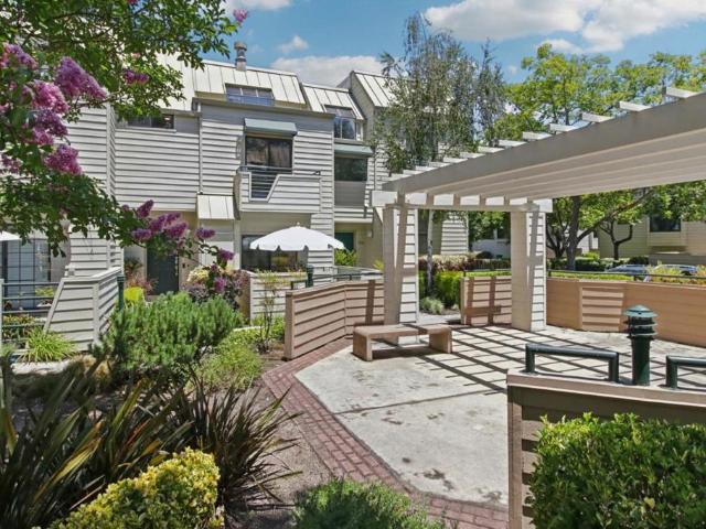 767 Loma Verde B