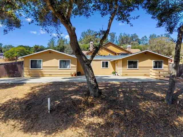 76857 Pine Tree