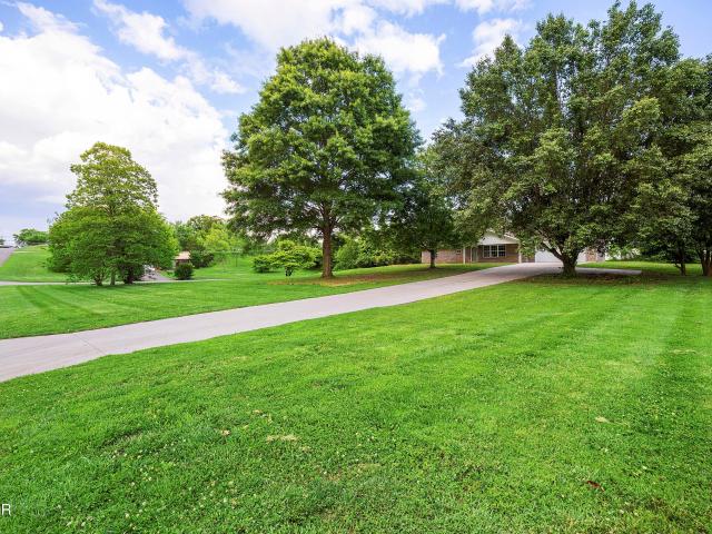 768 Northview
