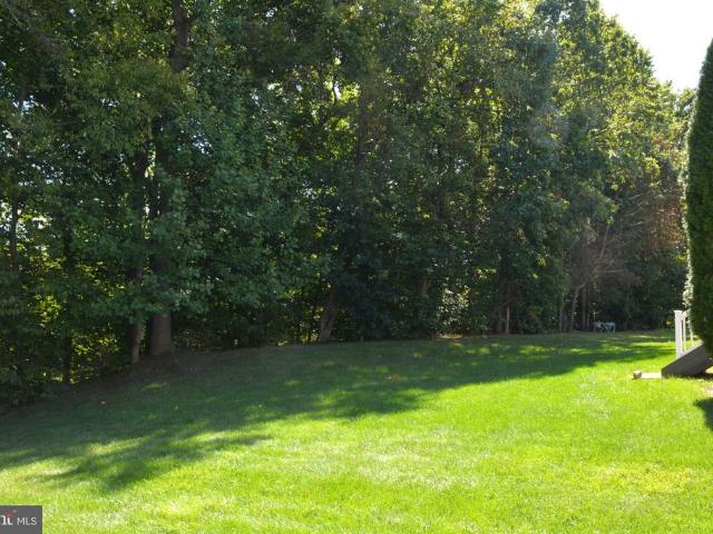 770 Chickory Trail