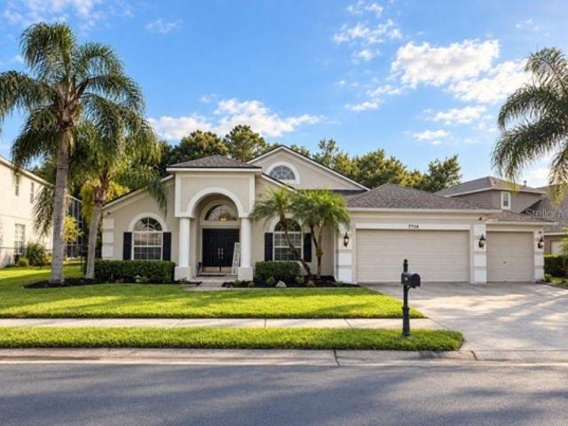 7729 Arelli Dr, Trinity, FL 34655