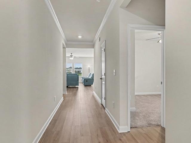 774 Cypress Preserve Circle