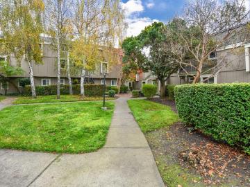 7755 Camino Colegio None, Rohnert Park, US, CA