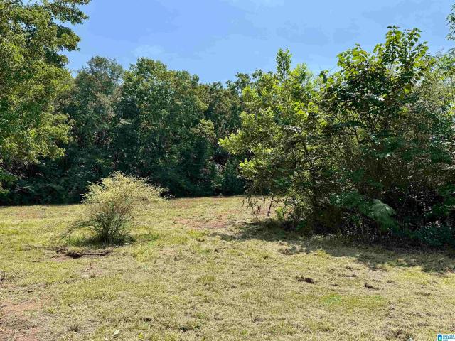 775 County Road 64