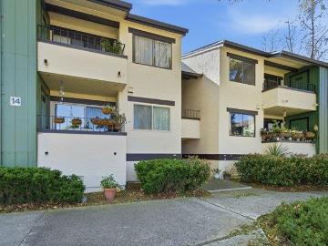 Stanford, San Jose CCD Santa Clara County California, Santa Clara County, California, USA