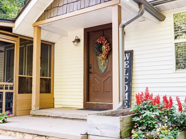 777 Williamstown Rd, Mineral Bluff, GA 30559 | MLS #10753