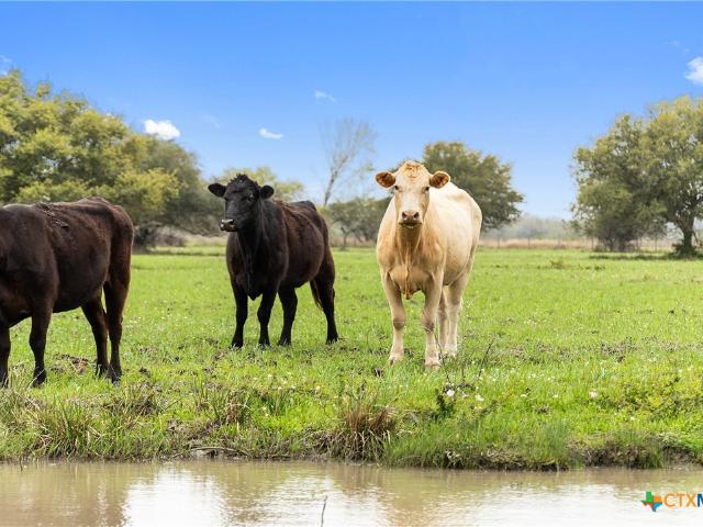 778 County Road 123, Edna, TX 77957 | MLS #577957