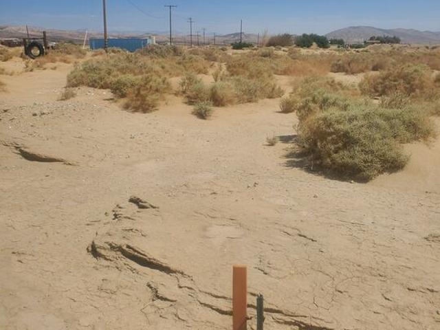 7797 Quartz Rd, Mojave, CA 93501 | MLS #26832