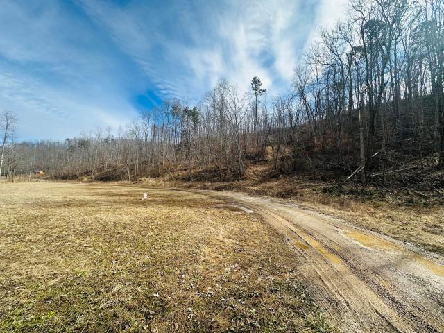 780 Shib Branch Road