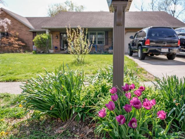 784 Kelly Drive