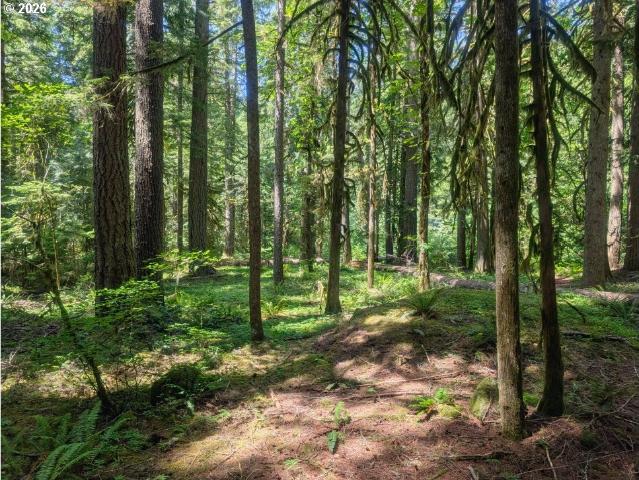 78549 E RD 35 Lot 115