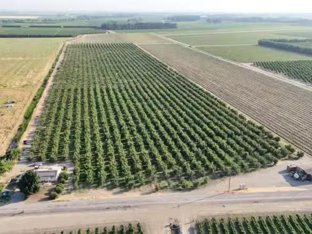 787 W SUTTER ISLAND CROSS RD, COURTLAND, CA 95615