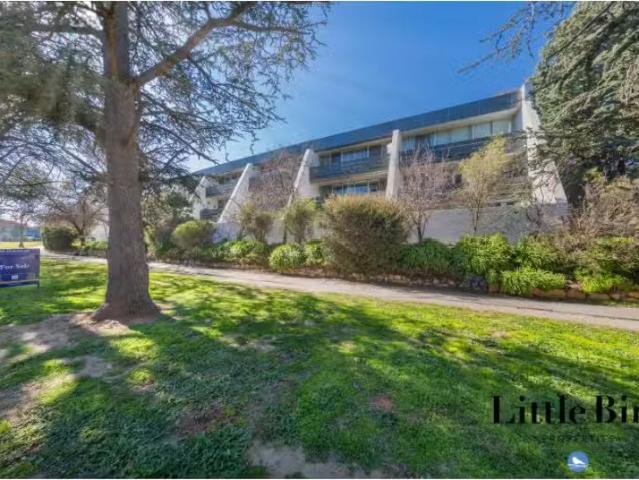 7/8 Giles Street, Griffith Apartment for rent Listed by Taye.