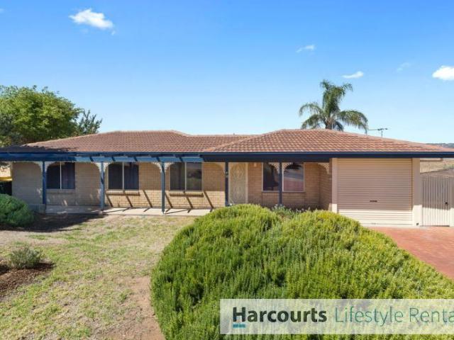 78 Lemon Road, TROTT PARK, SA 5158