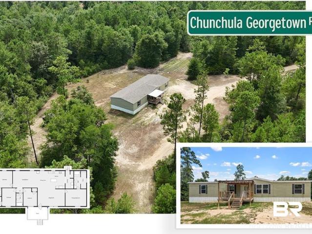 7930D Chunchula Georgetown Road