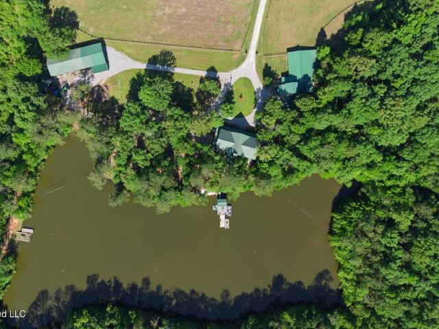 7961 Alabama 41
