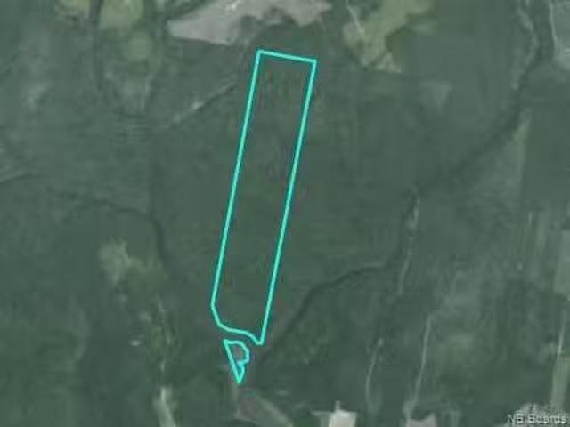 79.15 Hec. Rte 460, Tabusintac, NB, E9H 1C5 vacant land for.