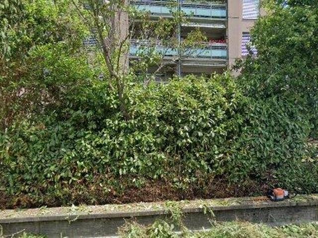 79 m2 apartment for rent in Arlesheim