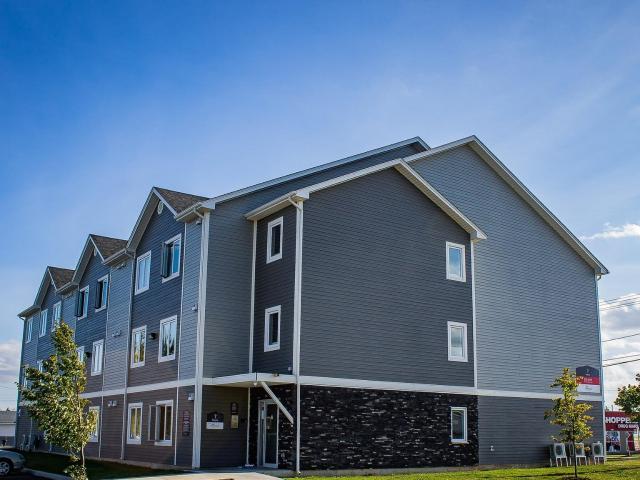 7 Murphy Avenue Studio Apartment for Rent