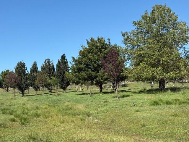 7 ACRES SUBDIVIDABLE RESIDENTIAL LAND A Rare Find Development Lifestyle Opportunity