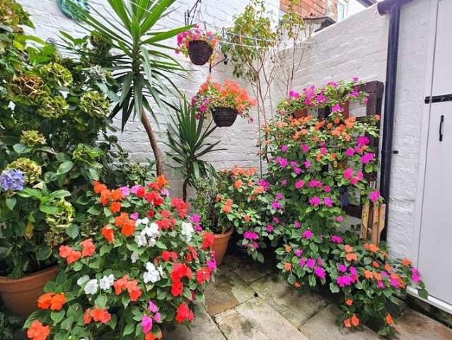 7 bed house for sale