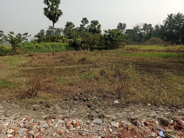 7 BHK Farm House in Maheshtala for resale Kolkata. The reference number is 17863689