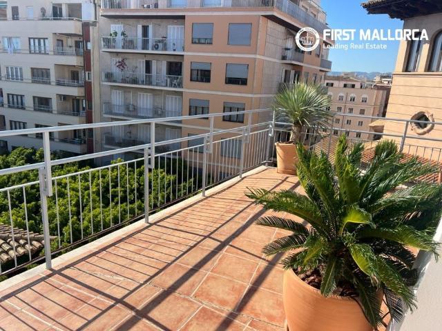 7 Carrer de Cecili Metel, Palma de Mallorca, Balearic Islands 07003
