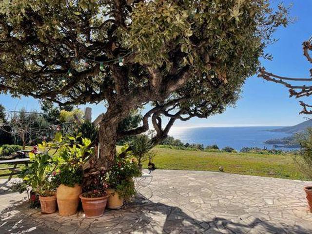 7 chambres, Théoule Provence 06590 103403974