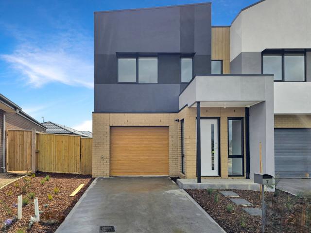 7 Consaw Street