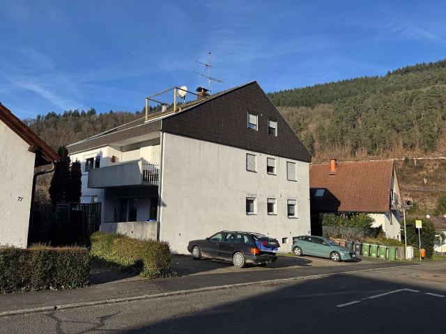 7 FH zur Kapitalanlage in Hirschhorn bei Heidelberg