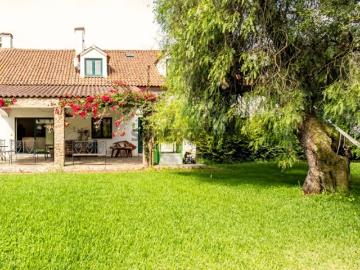 7 hectares, Quinta, opção turística, Alentejo Estremoz