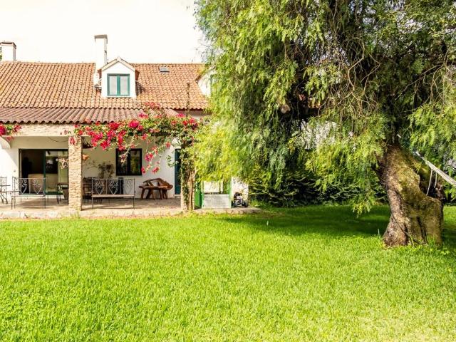 7 hectares, Quinta, opção turística, Alentejo Estremoz 720m² Estremoz Santa Maria e Santo André