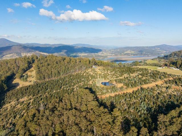 7 Lifestyle Lots