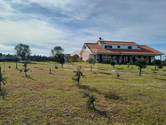 7 quarto, Grândola Grândola 103135636