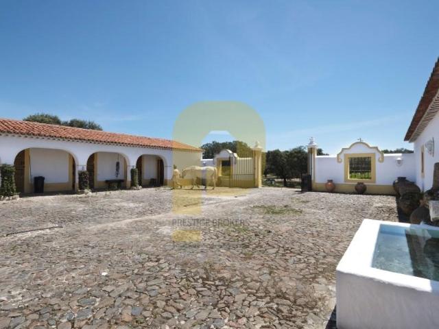 7 quarto, Monforte Monforte 7450 100 LS103219713