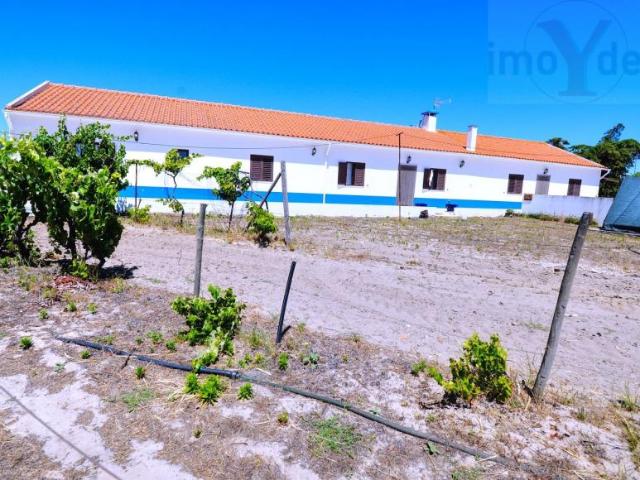 7 quarto, Setúbal Grândola 7570 103652035