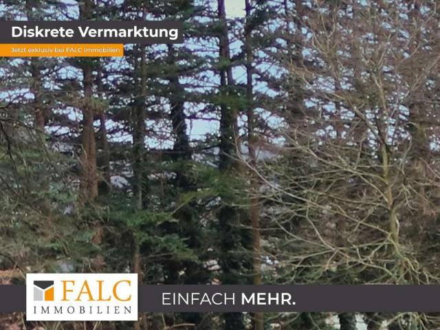 7 Schlafzimmer Haus Mömbris Niedersteinbach Deutschland 89449382